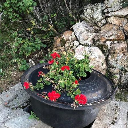 Prázdninový dům Maison Le Chouvel Coucouron